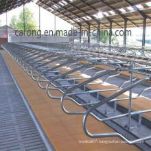 Cattle Farm Equipment Cow Galuanised Steel Flexible Free Stall